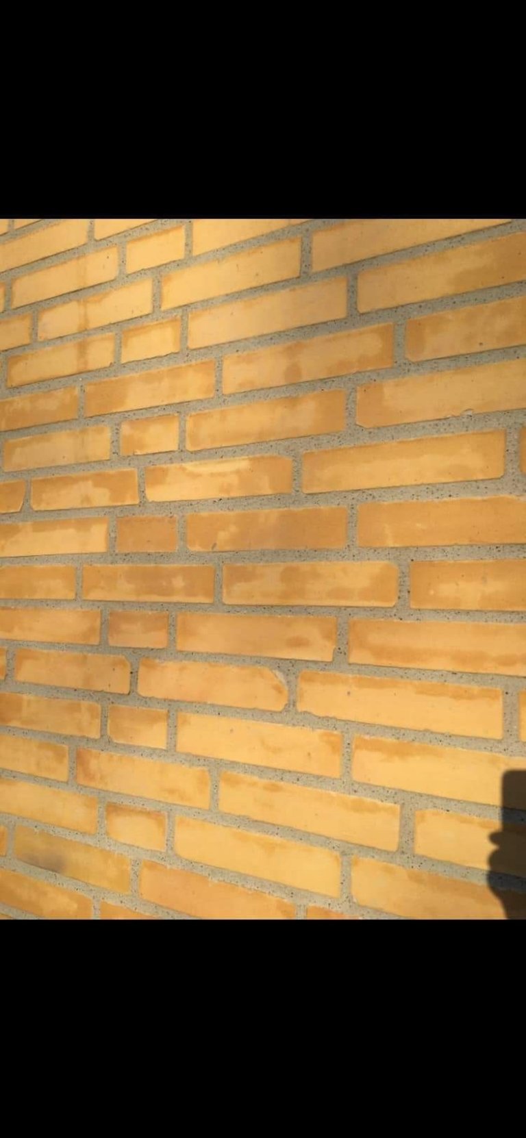Close-up of a yellow brick wall with gray mortar joints and a shadow cast across the surface